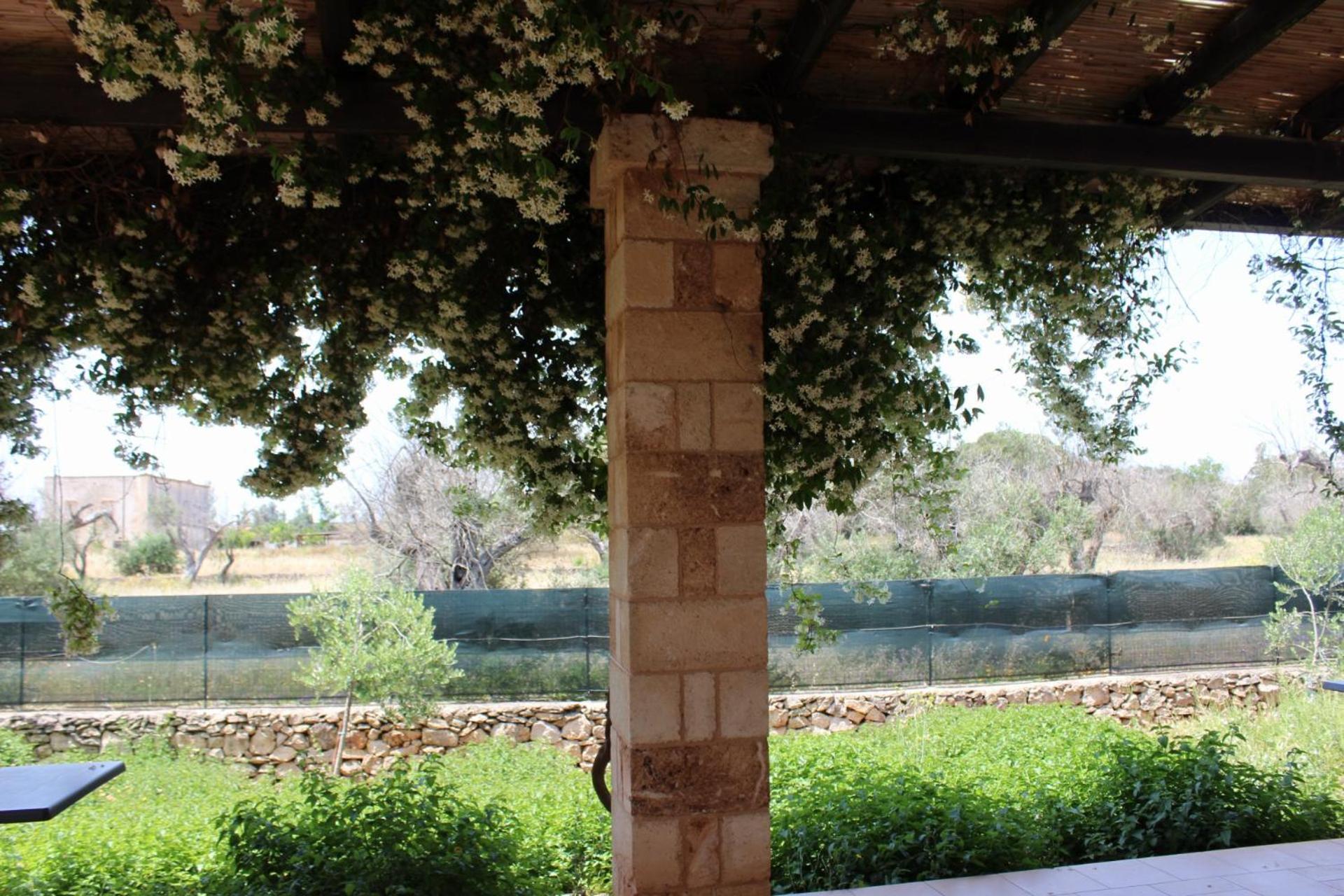 Tenuta Ferraro Gallipoli Exterior foto
